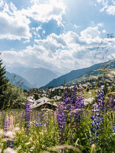 Verbier