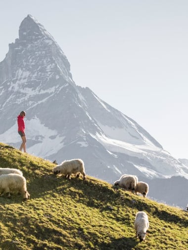 Zermatt