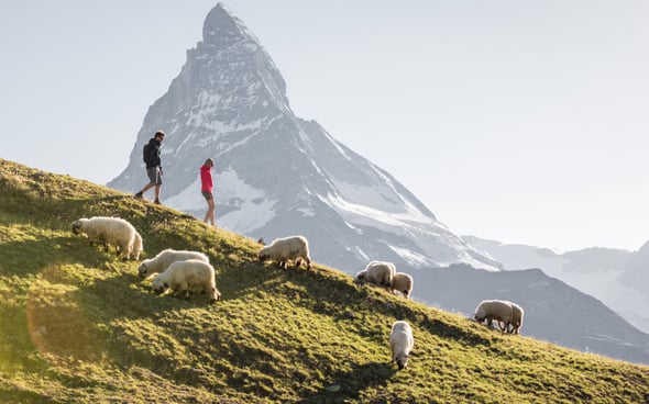 Zermatt summer activities: our top 10 adventures