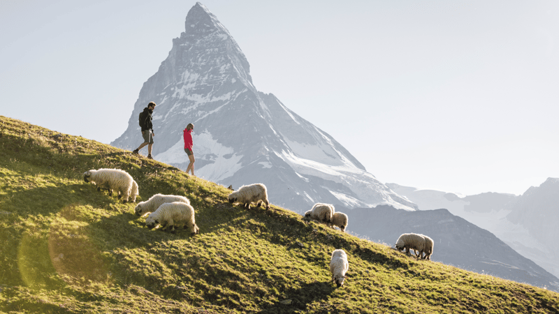 Zermatt summer activities